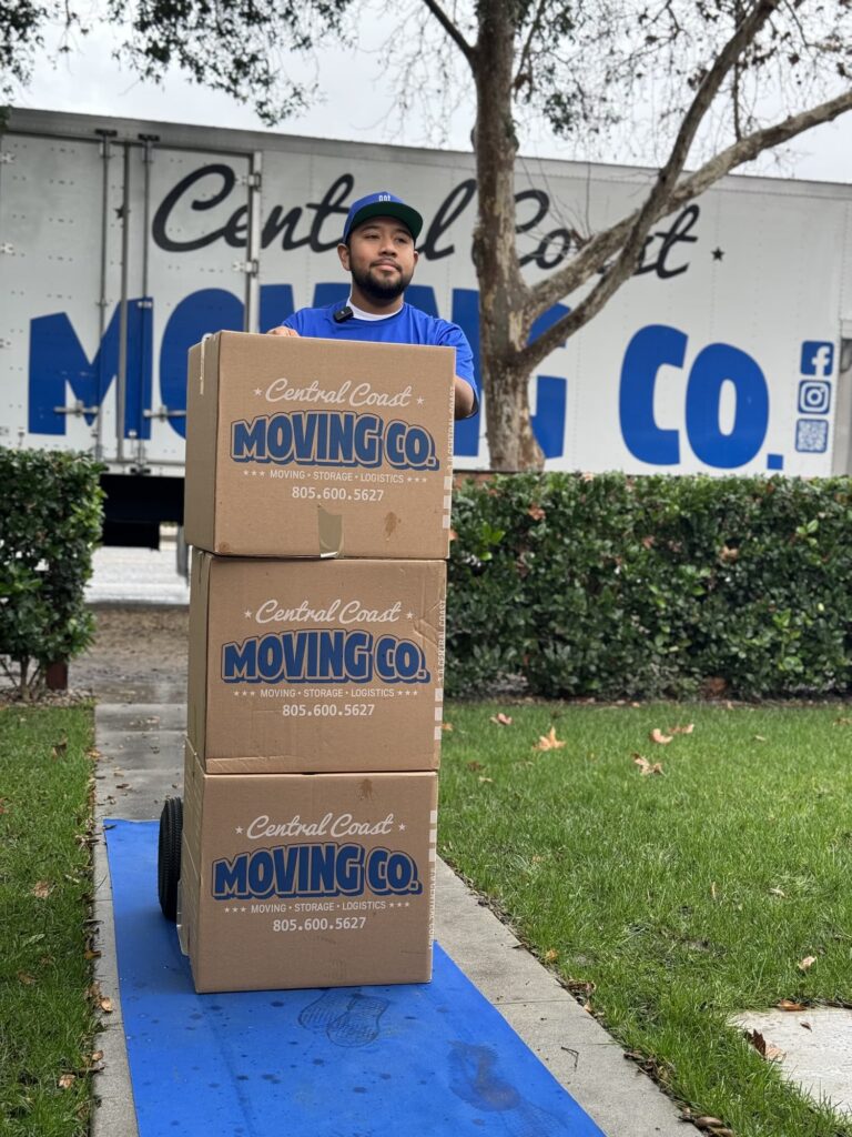 mover moving boxes