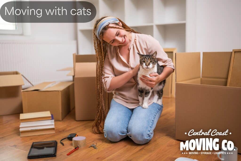 woman moving with cat
