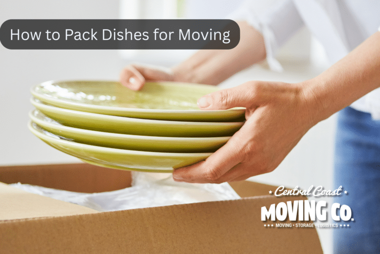 person packing dishes into box